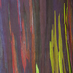 John Shea O'Donnell Photography, San Francisco